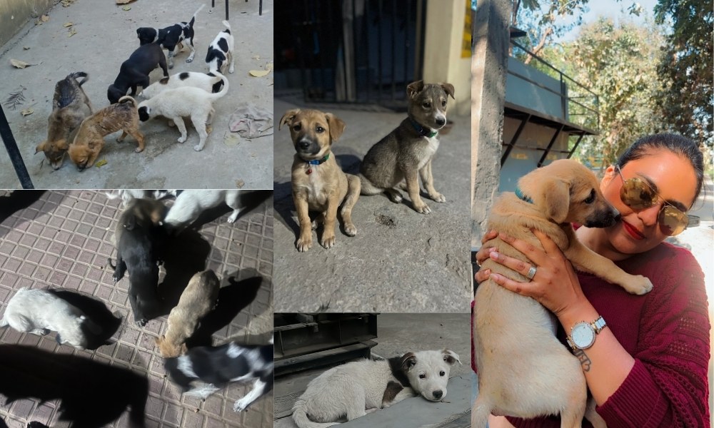 Bhavana with her Champs